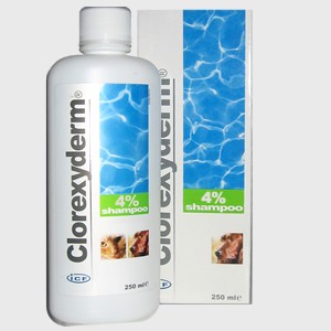 ICF CLOREXYDERM SHAMPOO 4%